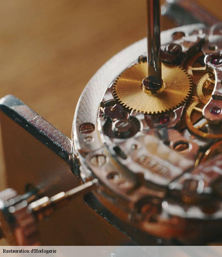 Restauration d'Horlogerie paris-5-75005 Artisan Horloger 75