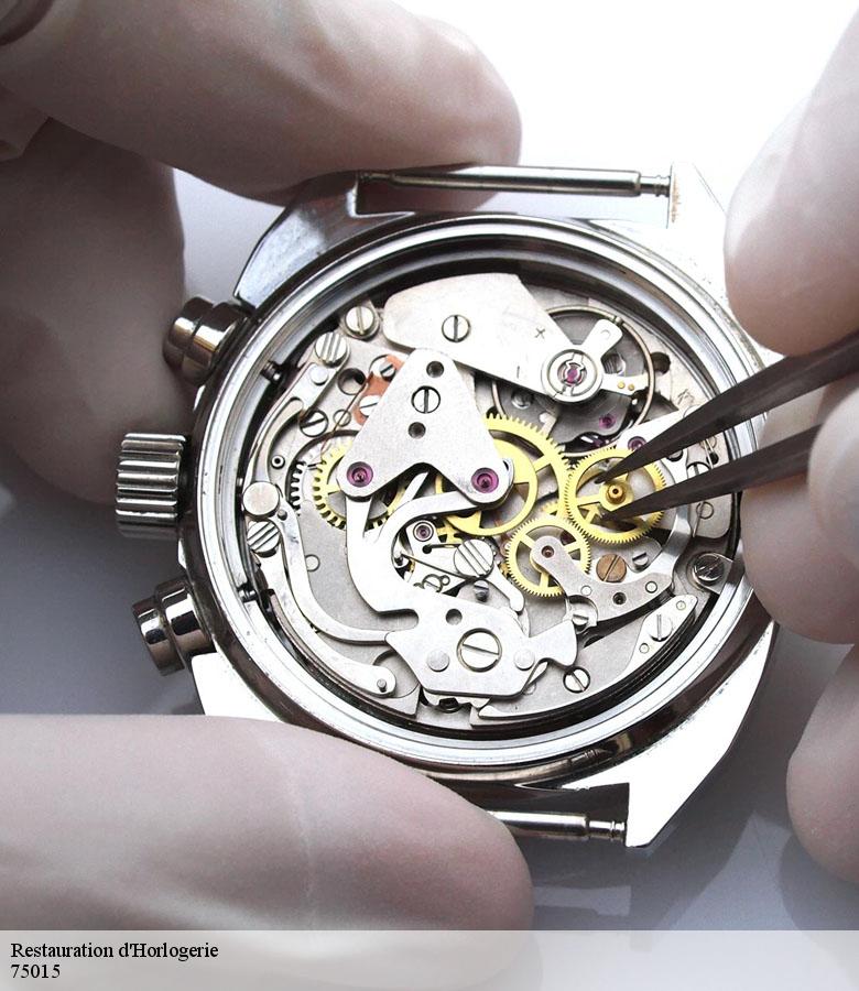 Restauration d'Horlogerie paris-15-75015 Artisan Horloger 75